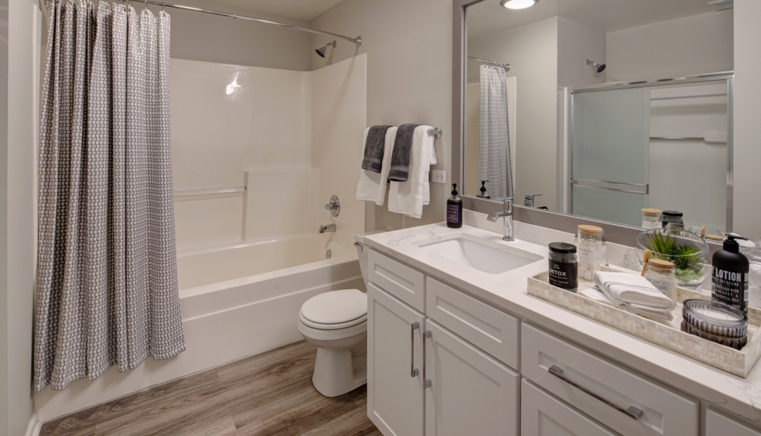 Shower and vanity